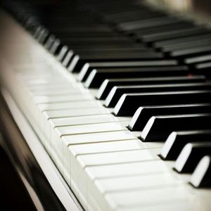 动画埃及猫拔萝卜原创版
