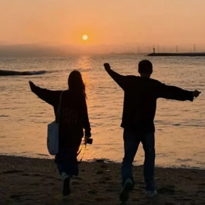 动画埃及猫拔萝卜原创版
