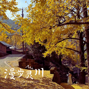 动画埃及猫拔萝卜原创版
