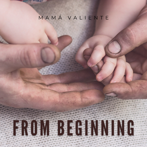 动画埃及猫拔萝卜原创版
