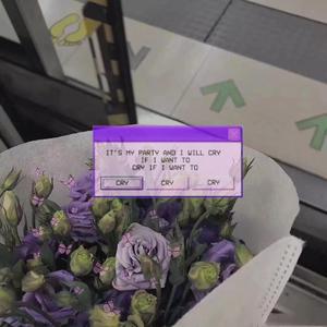 动画埃及猫拔萝卜原创版
